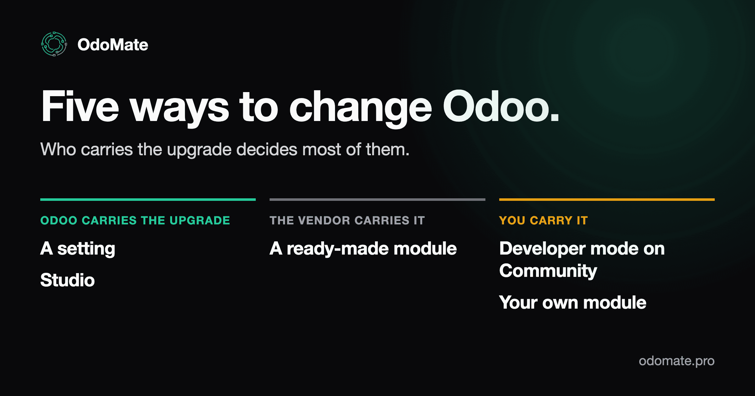 What are your options for customizing Odoo?